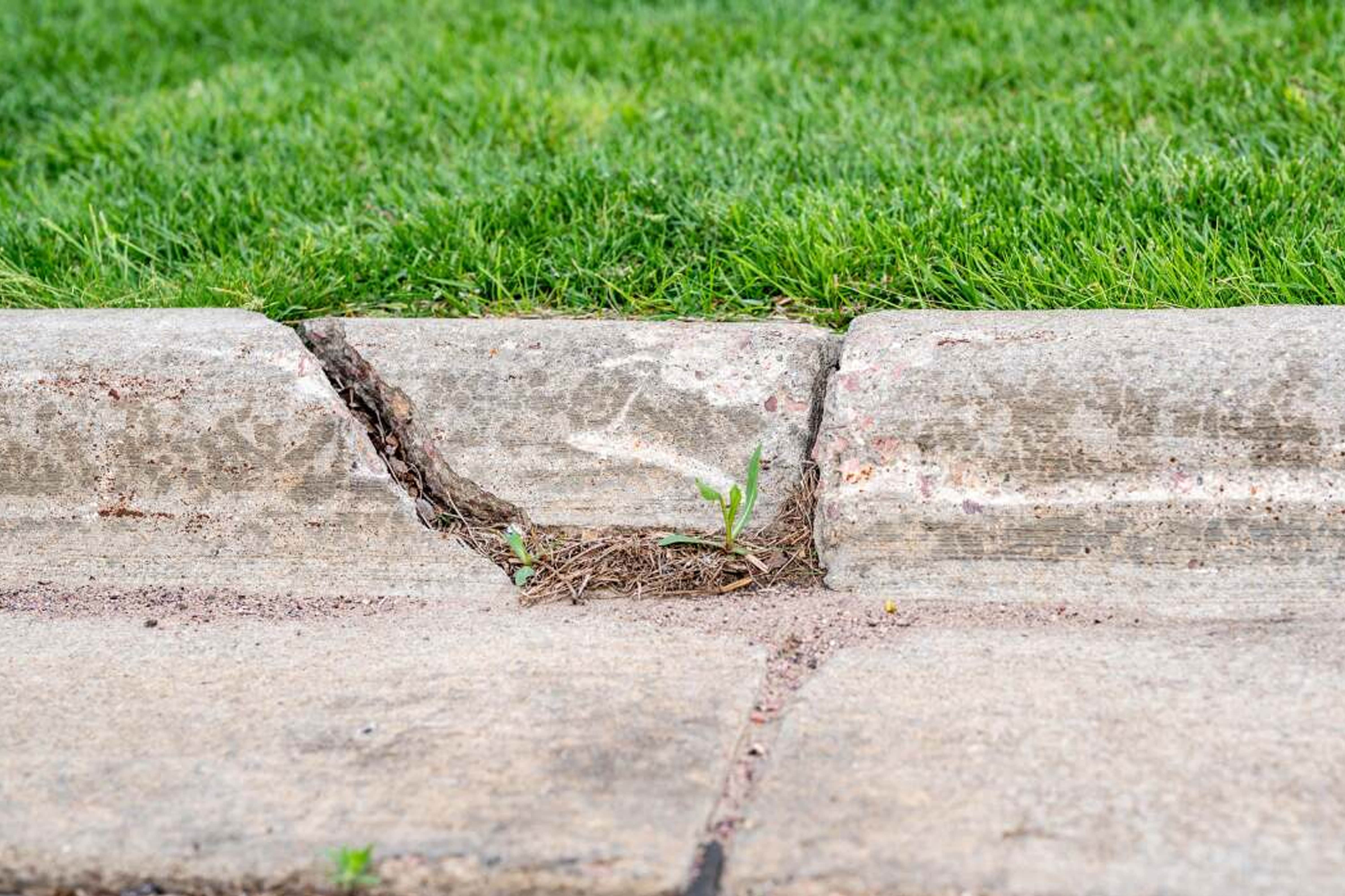 sidewalk_curb_repair
